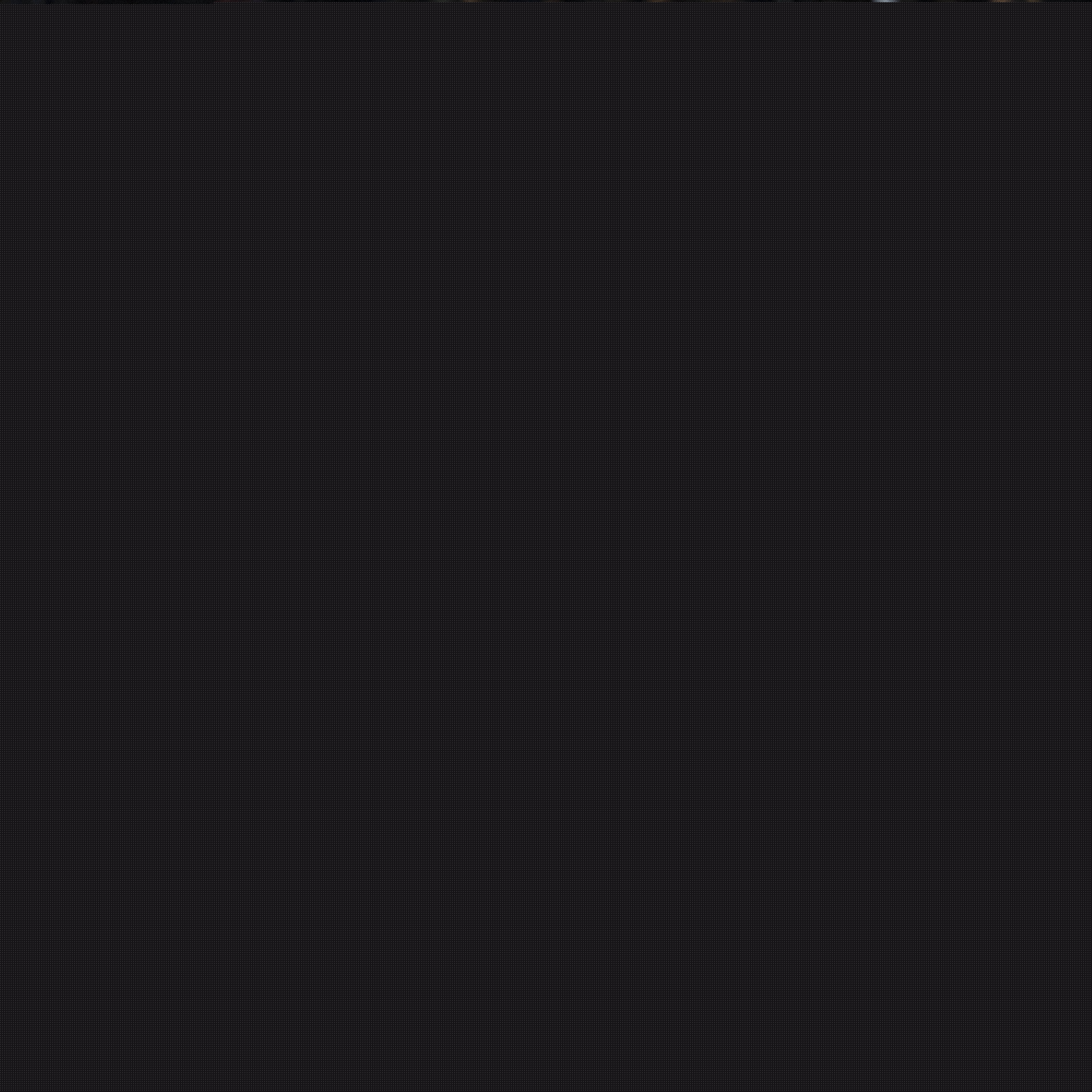 了球迷的尊