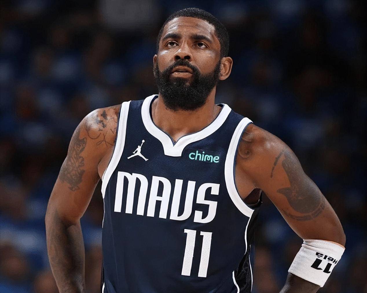 解析青岛海 解析青岛海