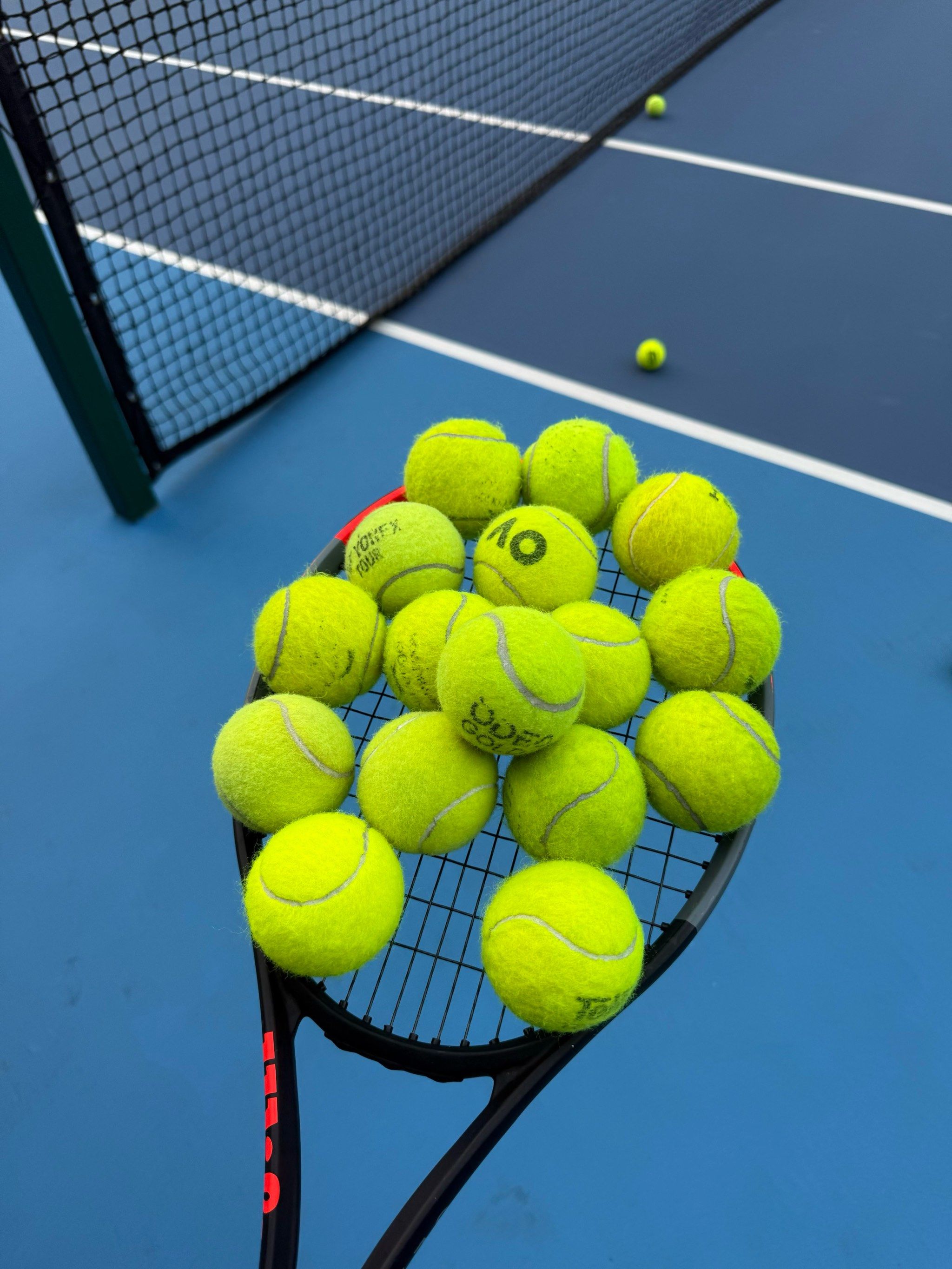 我们有理由 我们有理由